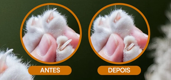 Antes e depois: patinha de gato com a unha comprida e, depois, aparada e arredondada